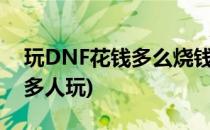 玩DNF花钱多么烧钱吗(dnf这么烧钱还那么多人玩)