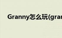 Granny怎么玩(granny怎么玩正常模式)