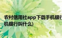 农村信用社app下载手机银行是哪个(农村信用社app下载手机银行叫什么)