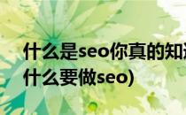 什么是seo你真的知道吗(seo是什么意思 为什么要做seo)