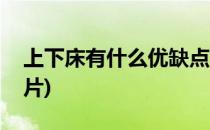 上下床有什么优缺点(上下床有什么优缺点图片)