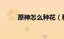 原神怎么种花（种花全流程攻略）