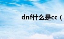 dnf什么是cc（cc值得是什么）