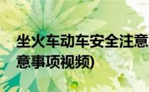 坐火车动车安全注意事项(坐火车动车安全注意事项视频)