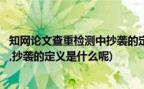 知网论文查重检测中抄袭的定义是什么(知网论文查重检测中,抄袭的定义是什么呢)