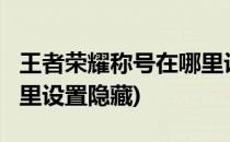 王者荣耀称号在哪里设置?(王者荣耀称号在哪里设置隐藏)