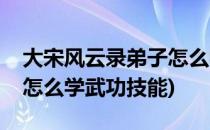 大宋风云录弟子怎么学武功(大宋风云录弟子怎么学武功技能)