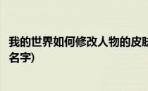 我的世界如何修改人物的皮肤(我的世界如何修改人物的皮肤名字)