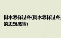 树木怎样过冬(树木怎样过冬最后一个自然段流露出作者怎样的思想感情)