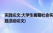 实践论文:大学生暑期社会实践论文范文(大学生暑期社会实践活动论文)