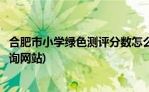 合肥市小学绿色测评分数怎么查(合肥市小学绿色测评分数查询网站)