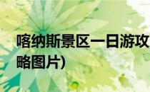 喀纳斯景区一日游攻略(喀纳斯景区一日游攻略图片)