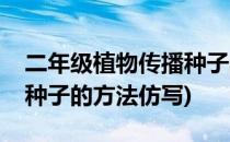 二年级植物传播种子的方法(二年级植物传播种子的方法仿写)