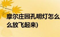 摩尔庄园孔明灯怎么放飞(摩尔庄园孔明灯怎么放飞起来)