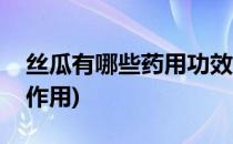 丝瓜有哪些药用功效(丝瓜有哪些药用功效和作用)