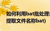 如何利用bat批处理来批量提取文件名(批量提取文件名称bat)