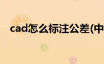 cad怎么标注公差(中望cad怎么标注公差)