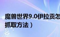 魔兽世界9.0伊拉贡怎么抓（WOW9.0伊拉贡抓取方法）