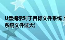 U盘提示对于目标文件系统 文件过大怎么解决(u盘显示目标系统文件过大)