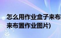 怎么用作业盒子来布置作业(怎么用作业盒子来布置作业图片)