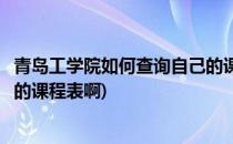 青岛工学院如何查询自己的课程表(青岛工学院如何查询自己的课程表啊)