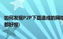 如何发现P2P下载造成的网络缓慢问题(为什么现在p2p下载都好慢)