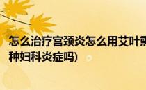 怎么治疗宫颈炎怎么用艾叶熏妇科病(艾草熏可以治疗妇科各种妇科炎症吗)