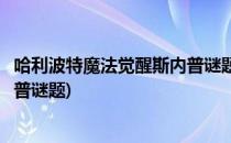 哈利波特魔法觉醒斯内普谜题怎么过(哈利波特魔法觉醒斯内普谜题)