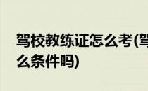 驾校教练证怎么考(驾校教练证怎么考需要什么条件吗)