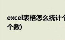 excel表格怎么统计个数(excel表格怎样统计个数)