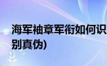 海军袖章军衔如何识别(海军袖章军衔如何识别真伪)