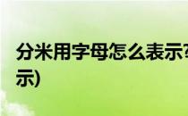 分米用字母怎么表示?(立方分米用字母怎么表示)