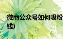 微商公众号如何吸粉(微商公众号如何吸粉赚钱)