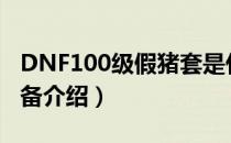 DNF100级假猪套是什么装备（100假猪套装备介绍）