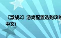 《激战2》游戏配置选购攻略(《激战2》游戏配置选购攻略中文)