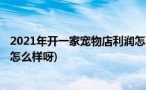 2021年开一家宠物店利润怎么样(2021年开一家宠物店利润怎么样呀)