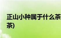 正山小种属于什么茶(茶叶正山小种属于什么茶)