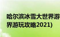 哈尔滨冰雪大世界游玩攻略(哈尔滨冰雪大世界游玩攻略2021)