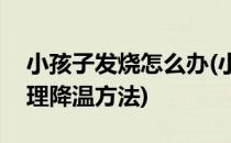 小孩子发烧怎么办(小孩子发烧怎么办 6个物理降温方法)