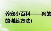 养宠小百科——狗的常规训练有哪些(宠物狗的训练方法)