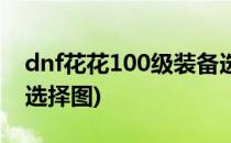 dnf花花100级装备选择(dnf花花100级装备选择图)