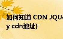 如何知道 CDN JQUery支持最新版本(jquery cdn地址)