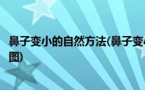 鼻子变小的自然方法(鼻子变小的自然方法捏鼻子的正确方法图)