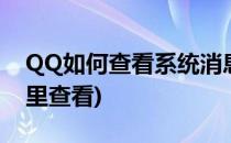 QQ如何查看系统消息(手机qq系统消息在哪里查看)