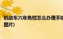 机动车六年免检怎么办理手续(机动车六年免检怎么办理手续图片)