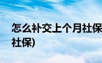 怎么补交上个月社保(手机上怎么补交上个月社保)