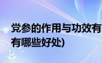 党参的作用与功效有哪些(党参的作用与功效有哪些好处)