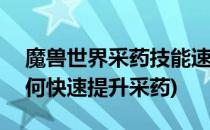 魔兽世界采药技能速冲600攻略(魔兽世界如何快速提升采药)