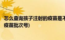 怎么查询孩子注射的疫苗是不是问题批次批号疫苗(如何查询疫苗批次号)