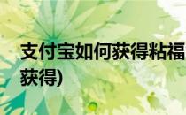 支付宝如何获得粘福气卡(支付宝沾福卡怎么获得)